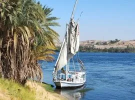 Mama Africa Felucca