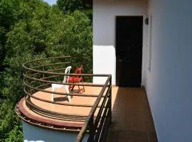 Albergue turtzioz