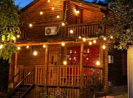 Villzone vila in Prishtina with big garden, maison de vacances à Pristina