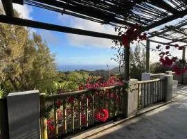 COCO MANGO Villa