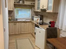 Apartment DOLCE VITA