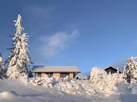 Sjusjøen Pihl 4020