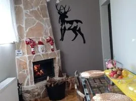 Chrysoula's home -koziakas- PYLI