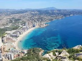 Sunny Holidays