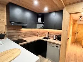 VAL THORENS, SERAC 7 - TOUT NEUF, pied des pistes, plein sud, vue magnifique - familial