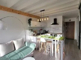 Duplex 6 pers - Centre station - Ski/Randonnées - Balcon - FR-1-393-177