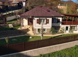 Casa Tihna, hotel v destinaci Băile Olăneşti