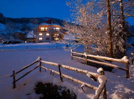 Schätzlehof, hotel v destinaci Winden im Elztal