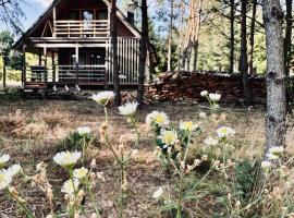 Domki pod Aniołem, Hotel in Huta