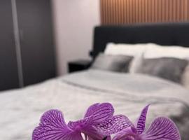 Comfort & Style - Calea Victoriei, hotel para golfe em Bucareste