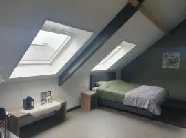 Royaal appartement P&B 't Hoeves