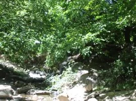 imintanoute