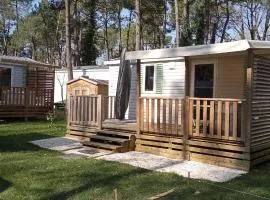 Mobil-home confort dans impasse boisée