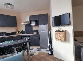 Studio refait à neuf classé 3 étoiles