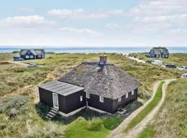 3 Bedroom Gorgeous Home In Blåvand