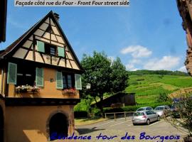 RtB-Sud pied des Vosges face vignoble, Hotel in Ammerschwihr