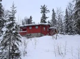 3 Bedroom Stunning Home In Eggedal