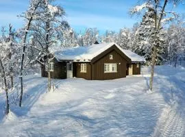 Modern Comforts, and Ski Access