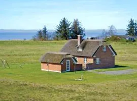 Holiday Home Syrenvej Skjern Iii