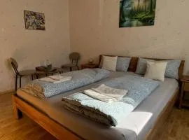 Alpen Hotel Martin