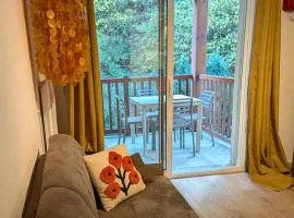 T2 chaleureux St Lary village