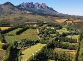 AfriCamps at Doolhof Wine Estate