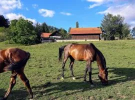 Ranc Polo Velka sobe