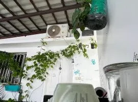 Tropicali ⁿᵉᵃʳ ⁿᵍᵒʳ ᵇᵉᵃᶜʰ ᵃⁿᵈ ⁱˢˡᵃⁿᵈ