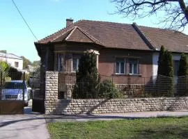 Haus in Budapest mit Garten