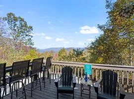 Very Close To Dt & Biltmore, Fire Pit, View