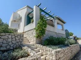 House Mirta