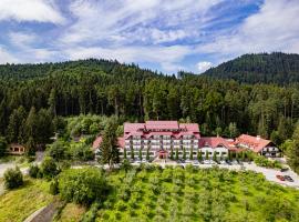 Q Resort and Spa, hótel í Săcele