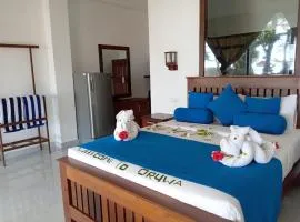 Oruwa Turtle Beach Villa