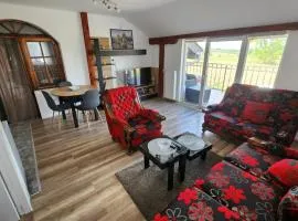 Sobe i apartmani Djordjevic