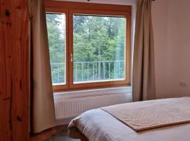 APARTMA JEREBIKA ŠT. 20