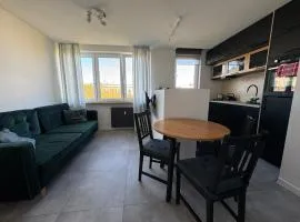 MISVEST Maria IV Arena Gliwice