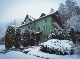 Pensiunea Limpedea, hotel v destinaci Baia-Sprie