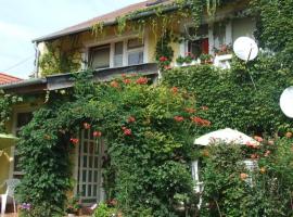 Vadszőlő Vend&eacute;gh&aacute;z