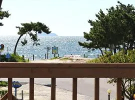 Silver Glowing Sea Pension