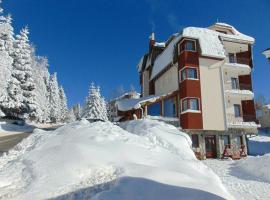 Vila Trag, ξενοδοχείο τριών αστέρων στο Κοπαόνικ