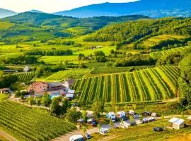 Saxida Wine & Camping Resort Pitches