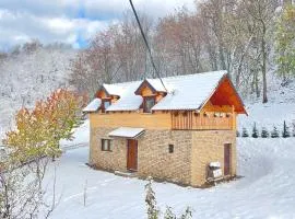 Vikend kuca pod lipom