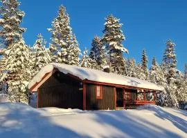 Sauna | Wi-Fi | Terrace | Wood stove | Cable TV