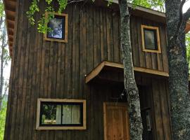 Caba&ntilde;as y Casas Hualles, acomoda&ccedil;&atilde;o com onsen em Co&ntilde;aripe