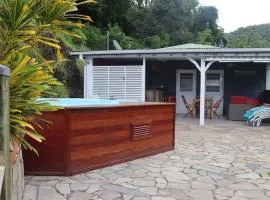 kaï colibri