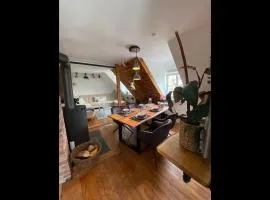 gemütliche rustikale Wohnung mit Kamin und optionalem Whirlpool