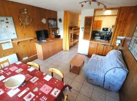 Studio 38m² pour 6 pers, proche pistes & commerces, animaux acceptés - FR-1-636-12