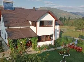 Casa Vasy