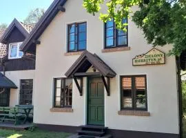 Zielony Bursztyn