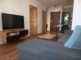 Wygodne Mieszkania Ceglana